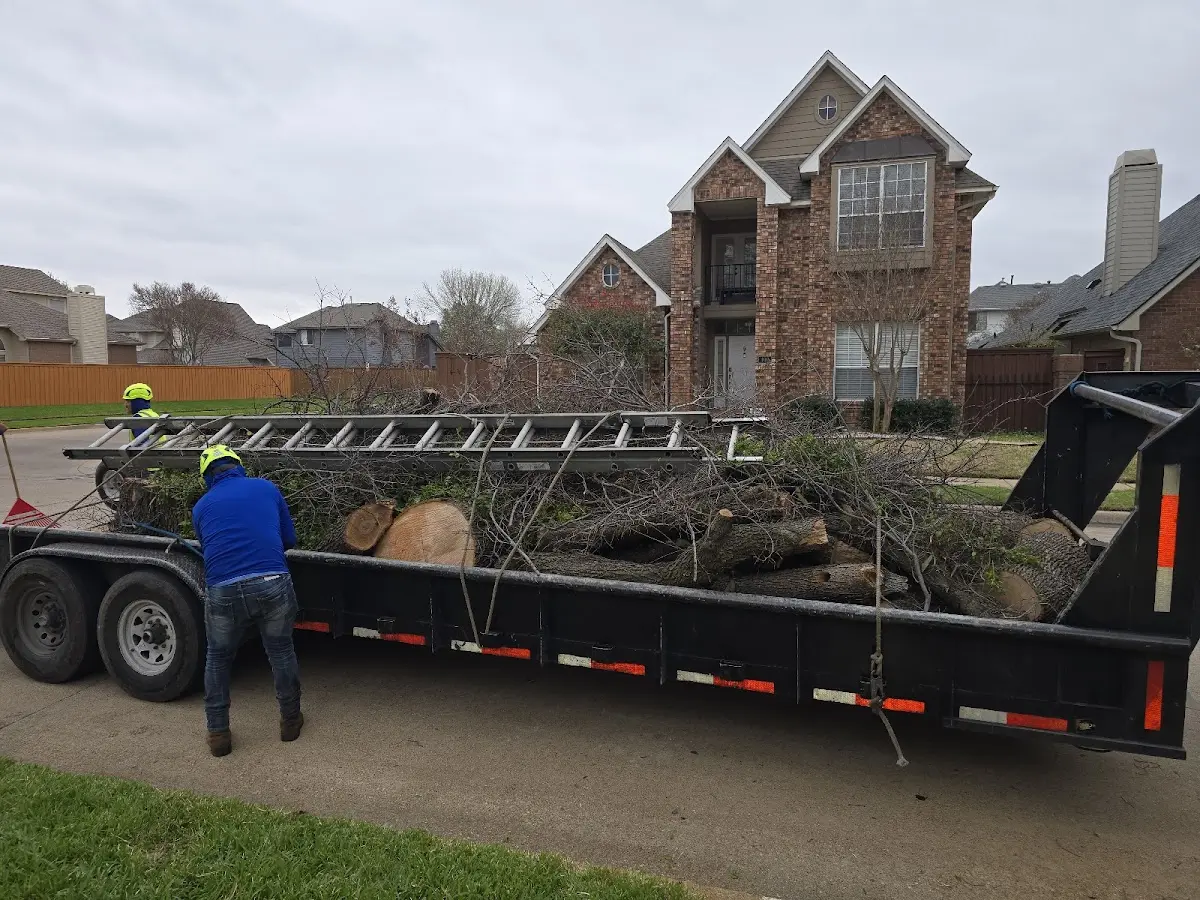 Expert Lot Clearing with proper safety equipment in Darling
